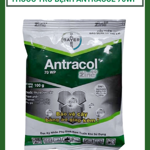 Antracol 70WP 100g Áo giáp kẽm