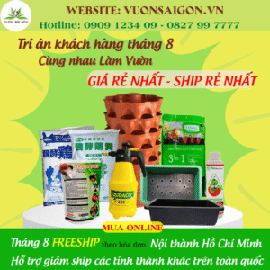 Bảng giá ship hàng tháng 8/2022 | Vườn Sài Gòn