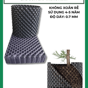 Bầu ươm cây thông minh