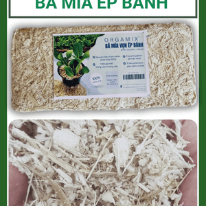 Bã Mía Vụn Ép Bánh Orgamix – Giá Thể Hữu Cơ Từ Bã Mía 100% Tự Nhiên