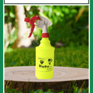 Bình phun tưới cây Ruby Spray cho Bonsai