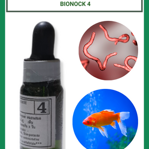 Bionock 4 -Thuốc trị ký sinh trùng trong cá và trong nước
