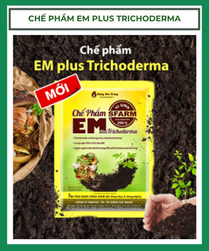 Chế phẩm EM Plus Trichoderma Sfarm