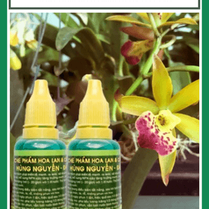 Chế phẩm kích keiki chế phẩm Hùng Nguyễn Đà Lạt