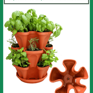 Chậu Bông Mai - Chậu tháp trồng rau 5 cánh