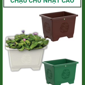 CHẬU CHỮ NHẬT CAO TALOPA – TRỒNG SEN, BONSAI SANG TRỌNG, BỀN ĐẸP