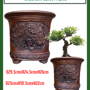 Chậu đất Loan Phụng trồng Bonsai