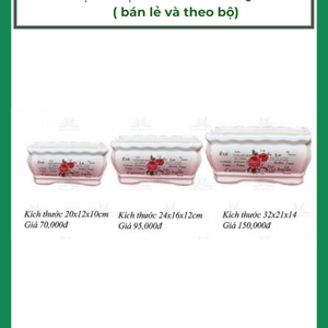 Chậu Gốm, Chậu Đất Nung | Vườn Sài Gòn