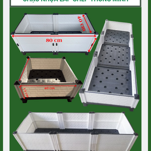 Chậu ghép thông minh, chậu ghép trồng rau sạch và cây ăn trái