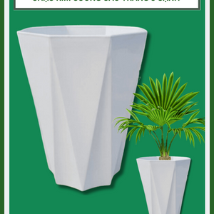 Chậu kim cương cao trắng 8 cạnh - Chậu 8 cạnh