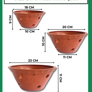Chậu Lan đất bèo Trung Quốc
