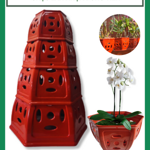 Chậu Lan Nhựa Đồng Tiền