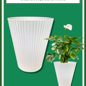 Chậu nhựa gân sọc đứng trắng