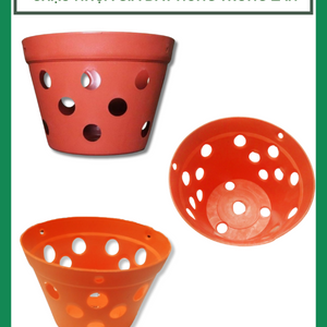 Chậu nhựa giả đất nung trồng lan