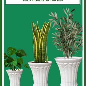 Chậu Nhựa Ống Tre Trồng Cây