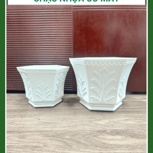 Chậu nhựa trồng cây cỏ may