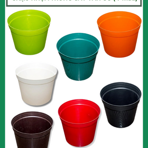 Chậu nhựa trồng cây chậu vân gỗ nhiều Màu