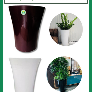 Chậu nhựa trồng cây hình loa