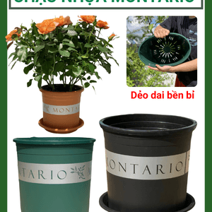 Chậu nhựa trồng cây Montario (Kèm đĩa lót)