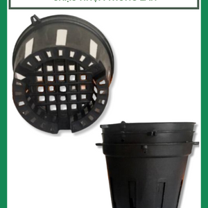 Chậu nhựa trồng lan