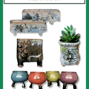 Chậu sứ cao cấp