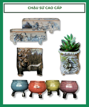 Chậu sứ cao cấp