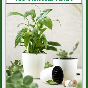 Chậu Trồng Cây Tự Dưỡng, chậu tự tưới 2 Lớp Tròn Bầu