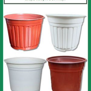 Chậu ươm hạt - chậu nhựa TTK