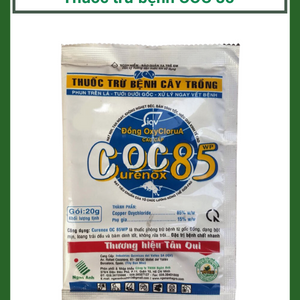 Coc85 thuốc đặc trị bệnh chết nhanh trên cây tiêu