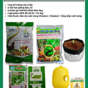 Combo chăm sóc cây bầu bí cây leo sân thượng