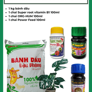 Combo chăm sóc cây kiểng sau khi hoa tàn