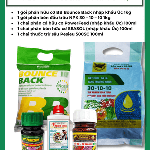 Combo chăm sóc Dâu Tây trồng chậu