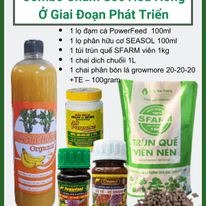 Combo Chăm Sóc Hoa Hồng Ở Giai Đoạn Phát Triển Mầm - Chồi - Lá