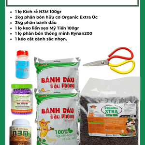 Combo chăm sóc mai