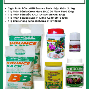 Combo chăm sóc mai trước tết - kích thích mầm nụ