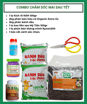 Combo chăm sóc mai