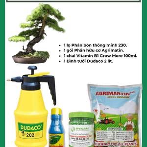 Combo dụng cụ chăm sóc cây cảnh tại nhà