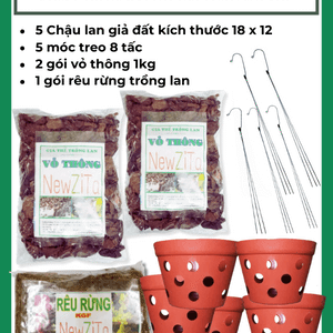 Combo giá thể trồng lan cho người mới bắt đầu