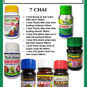 Combo phục hồi cho Lan sau khi hoa tàn