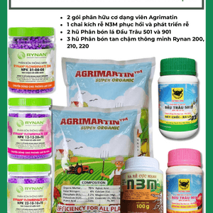 COMBO phân bón cây ăn quả sân thượng