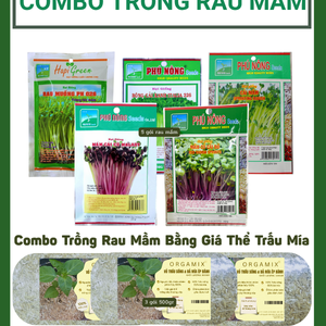 Combo Trồng Rau Mầm Bằng Giá Thể Trấu Mía – Rau Sạch Mỗi Ngày, Dễ Trồng Mọi Nơi