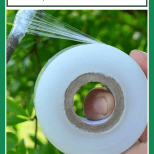 Cuộn Ghép Cây - Băng Keo Ghép Cây