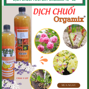 Dịch Chuối Orgamix - dịch chuối tưới cây 100% hữu cơ
