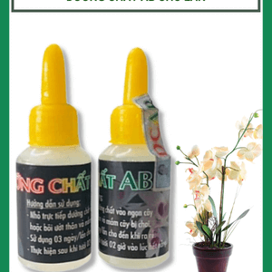 Dưỡng chất AB nếu bạn thực sự yêu phong lan