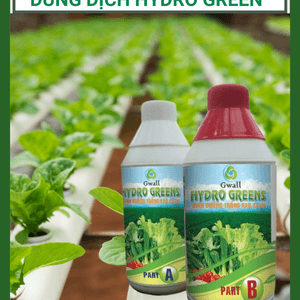 Dung dịch thủy canh, dinh dưỡng thủy canh Hydro Green
