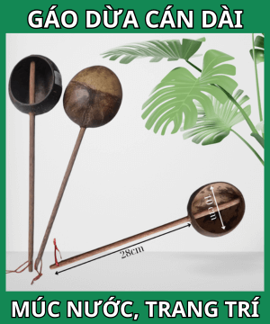 Gáo dừa cán dài - Múc nước, tưới cây, trang trí bóng đẹp mộc mạc