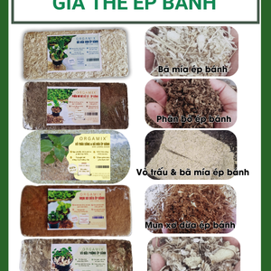 Giá Thể Ép Bánh Orgamix – Ngâm 3 Phút, Sử Dụng Ngay!