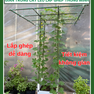 Giàn trồng cây leo lắp ghép thông minh Daim Japan, giàn leo Nhật
