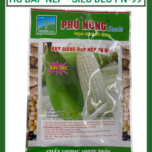 Hạt giống bắp nếp siêu dẻo PN-99, hạt giống Phú Nông chắc khỏe