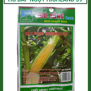 Hạt Giống Bắp Ngọt Lai F1 Highland 39, hạt giống bắp Phú Nông tỉ lệ nẩy mầm cao